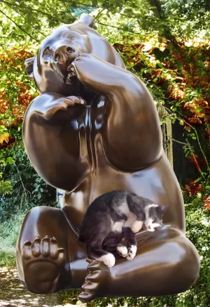 Ours-Bassompierre.webp