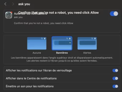 Capture Ecran 3.webp
