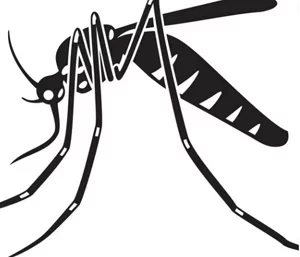 Capture d’écran 2023-09-25 à 13.30.28.webp