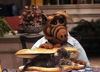 ALF.webp