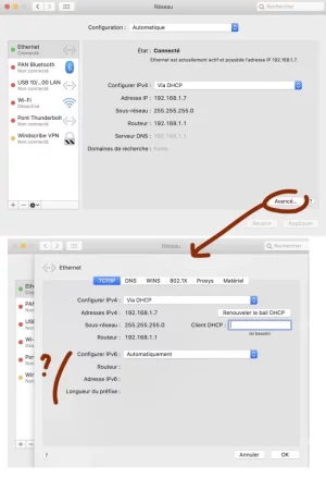 normal.webp