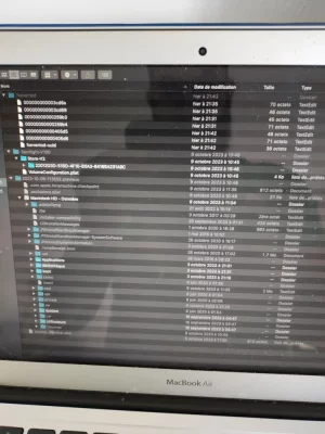 16973775296246528552647801155623.webp