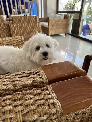 IMG_0522.jpeg IMG_0522.jpeg