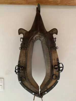 IMG_7251.jpeg IMG_7251.jpeg