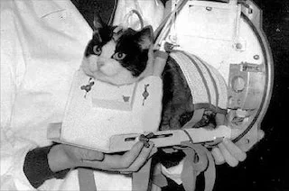 Félicette-première-française-dans-lespace.webp Félicette-première-française-dans-lespace.webp