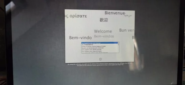 1700659246317 (Grand).webp