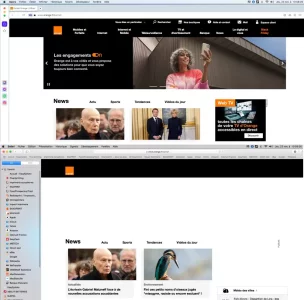 Orange.webp