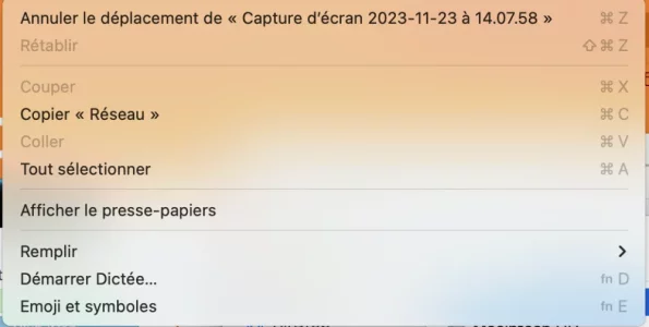 Capture d’écran 2023-11-23 à 14.34.07.webp