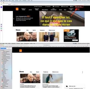 Orange.webp