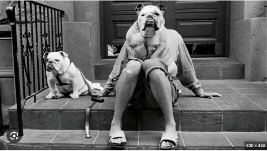 Capture d’écran 2023-12-01 à 07.08.09.webp