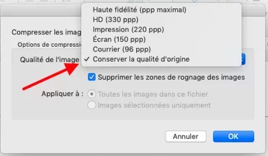 Capture d’écran.webp