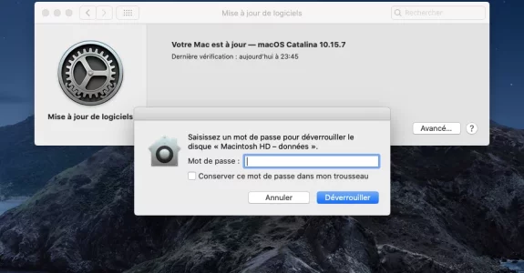 Capture d’écran 2024-01-05 à 23.45.35.webp