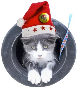 Gribouille Toum'aï.webp
