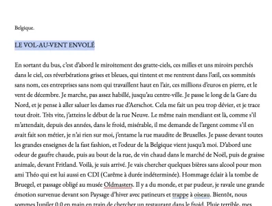 Capture d’écran 2024-01-24 à 15.58.23.webp