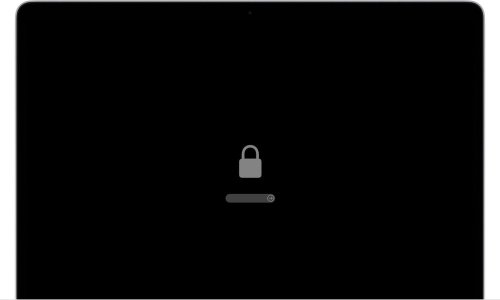 macos-big-sur-startup-screen-lock-icon-firmware-password.jpg