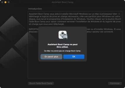 Assistant_Bootcamp_Apple_Silicon.webp