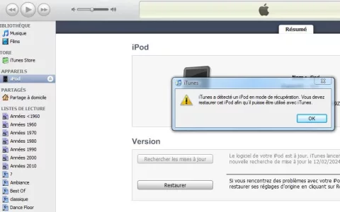 Sans titre2.webp