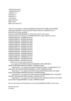 6.webp