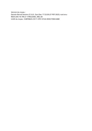 7.webp