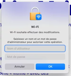 wifi.webp