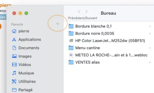 Capture d’écran 2024-02-28 à 17.25.51.webp