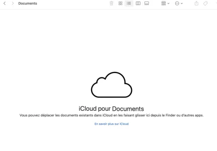 par défaut 2024-03-01 à 19.09.35.webp