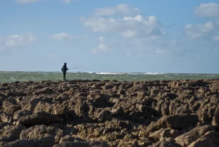 Pêcheur-sur-la-banche.webp