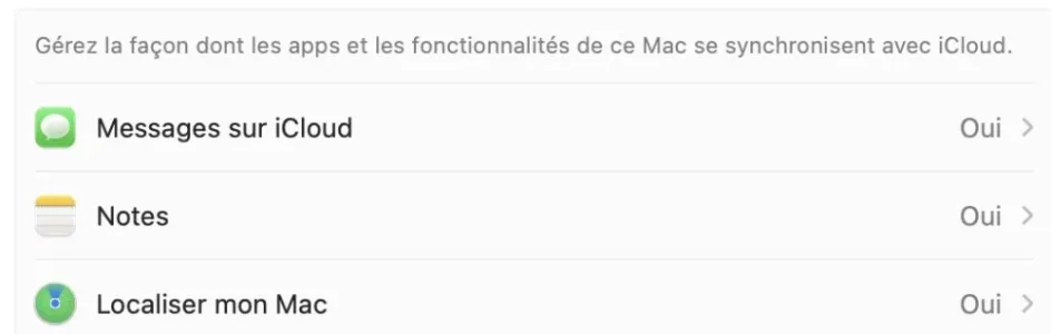 Capture d’écran 2024-03-13 à 15.42.29.webp
