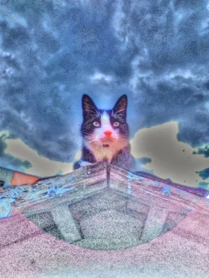 IMG_20200706_172620___tonemapped.webp