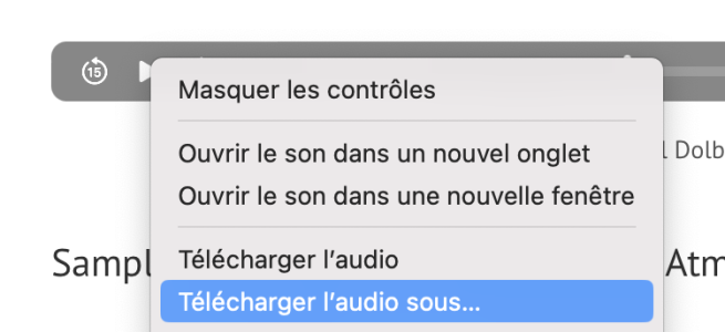 Capture d’écran 2024-03-16 à 17.22.14.png