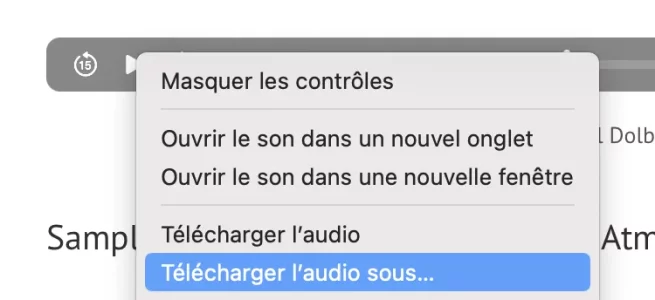 Capture d’écran 2024-03-16 à 17.22.14.png