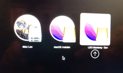 Capture d’écran 2024-03-24 à 23.41.54.webp