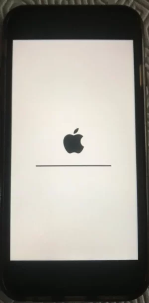 IPhone-SE2-plantage-MAJ-IOS[1].webp