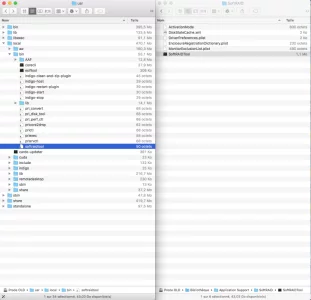 Capture.webp