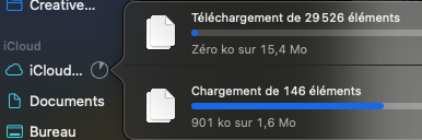 Capture d’écran 2024-04-20 à 09.32.54.png