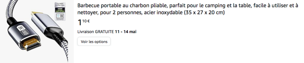 Capture d’écran 2024-05-04 à 10.44.59.png