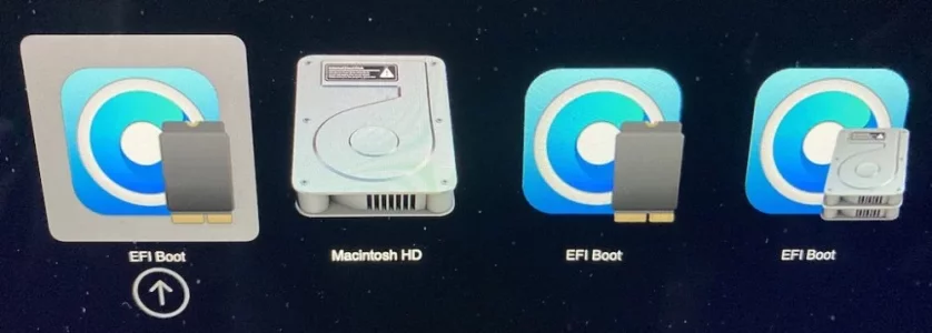 boot.webp