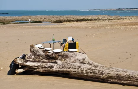 Pique-nique-à-la-plage.webp