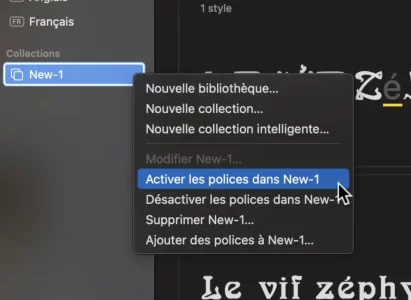 Capture d’écran 2024-05-13 à 21.41.05.webp