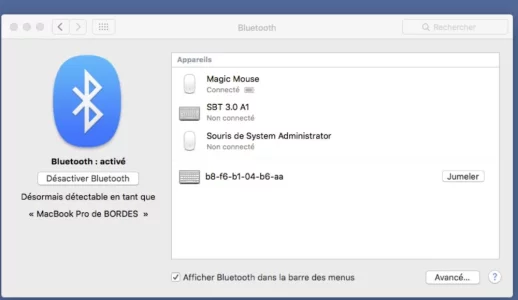 CLAVIER APPPLE DETECTE.webp