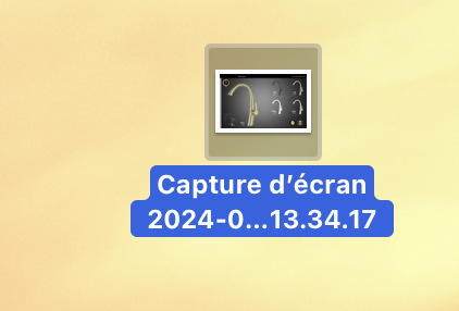 Capture d’écran 2024-07-02 à 21.35.10.png