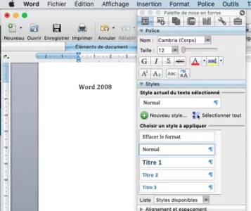 W 2008.webp