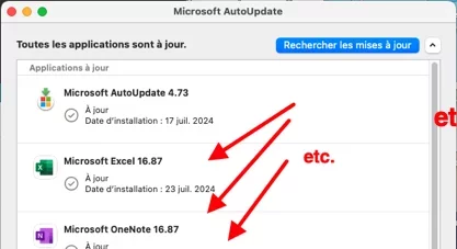 Capture d’écran.webp