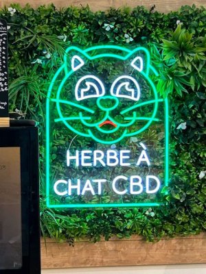 cbd chat.jpg