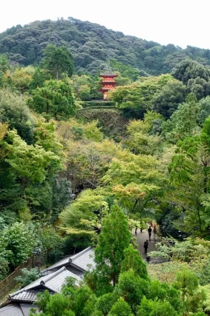 kiyomizu800.webp