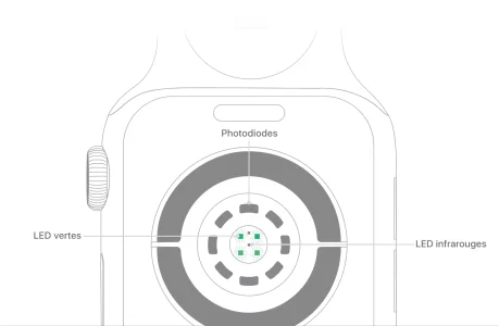 watch-series4-measure-sensors.webp