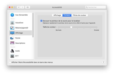 changer-le-pointeur-de-la-souris-sur-macos-catalina.jpg