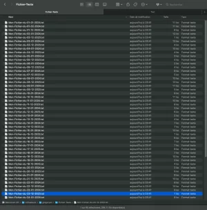 Screenshot 06-10-2024 à 23h44 06s - Finder - Fichier-Texte.webp