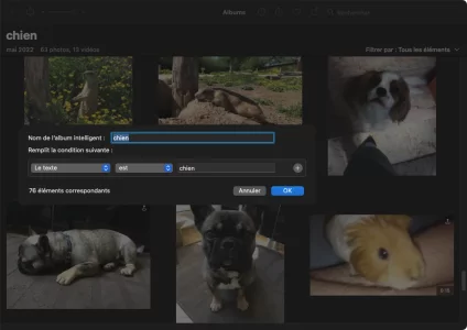 Photos_album_intelligent_texte_chien.webp