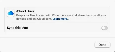 iCloud Drive activation.webp